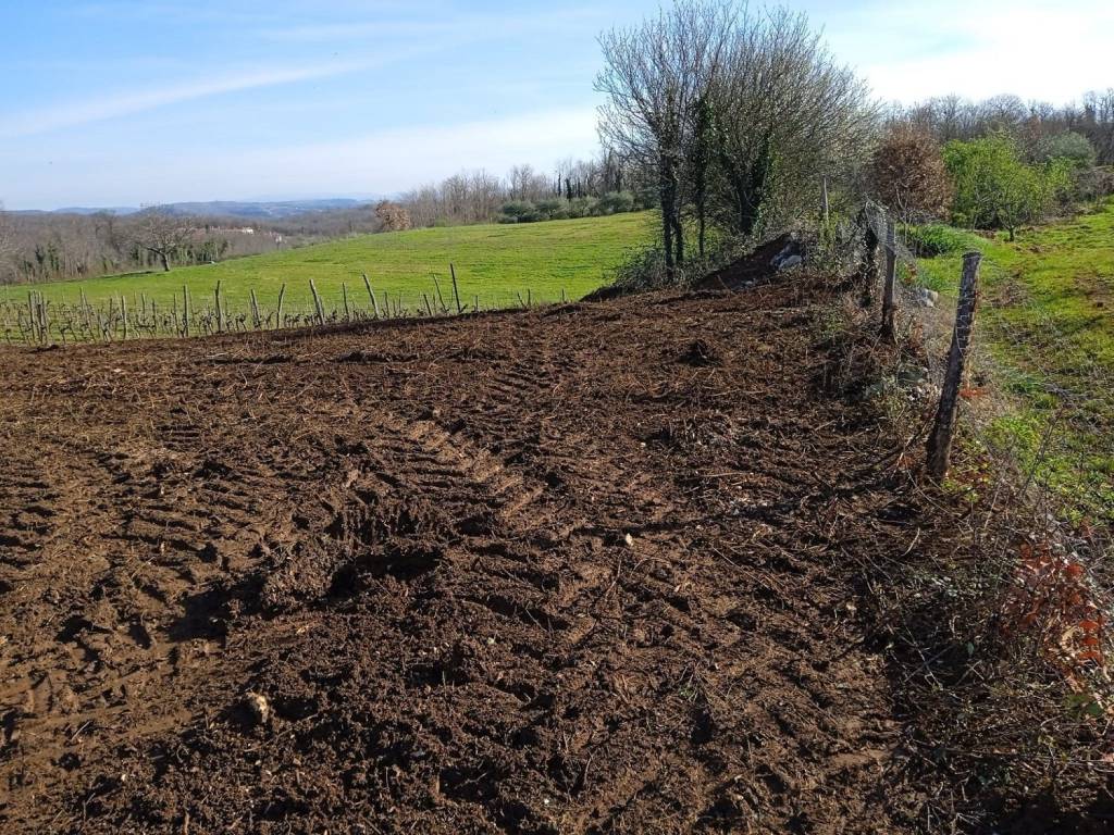 Plot for construction, Sale, Vižinada, Vižinada