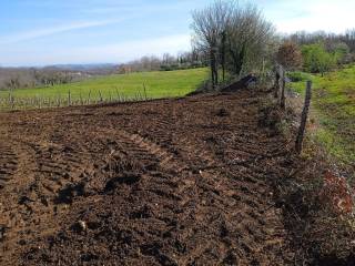 Plot for construction, Sale, Vižinada, Vižinada