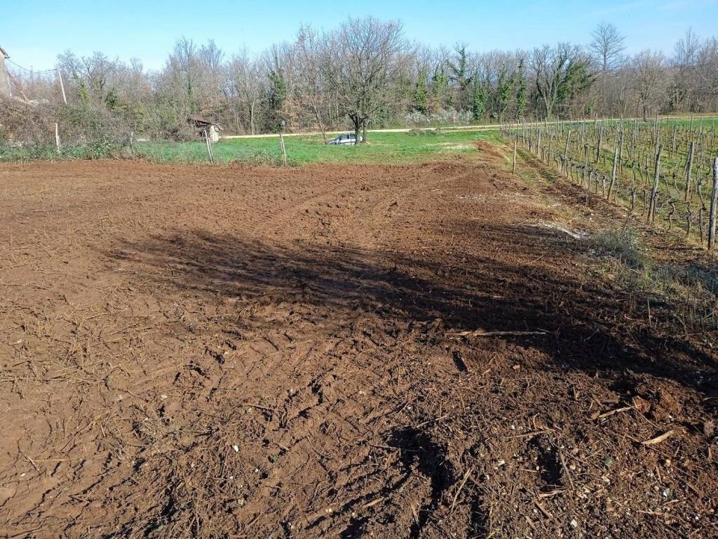 Plot for construction, Sale, Vižinada, Vižinada