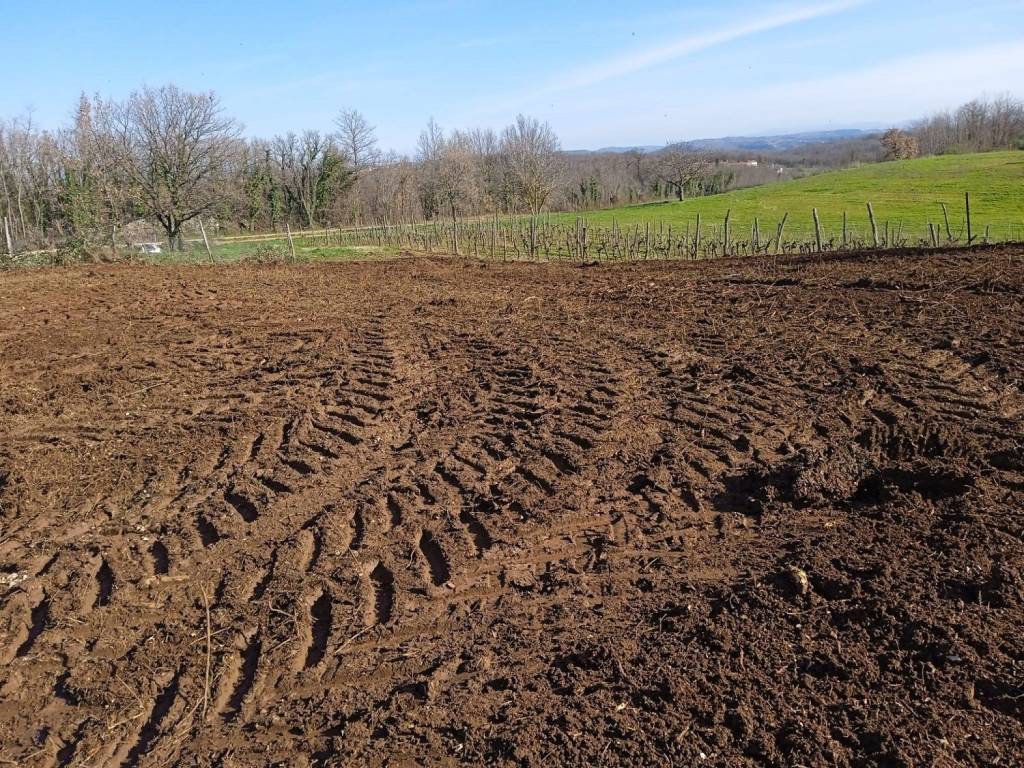 Plot for construction, Sale, Vižinada, Vižinada