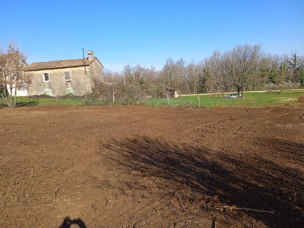 Plot for construction, Sale, Vižinada, Vižinada