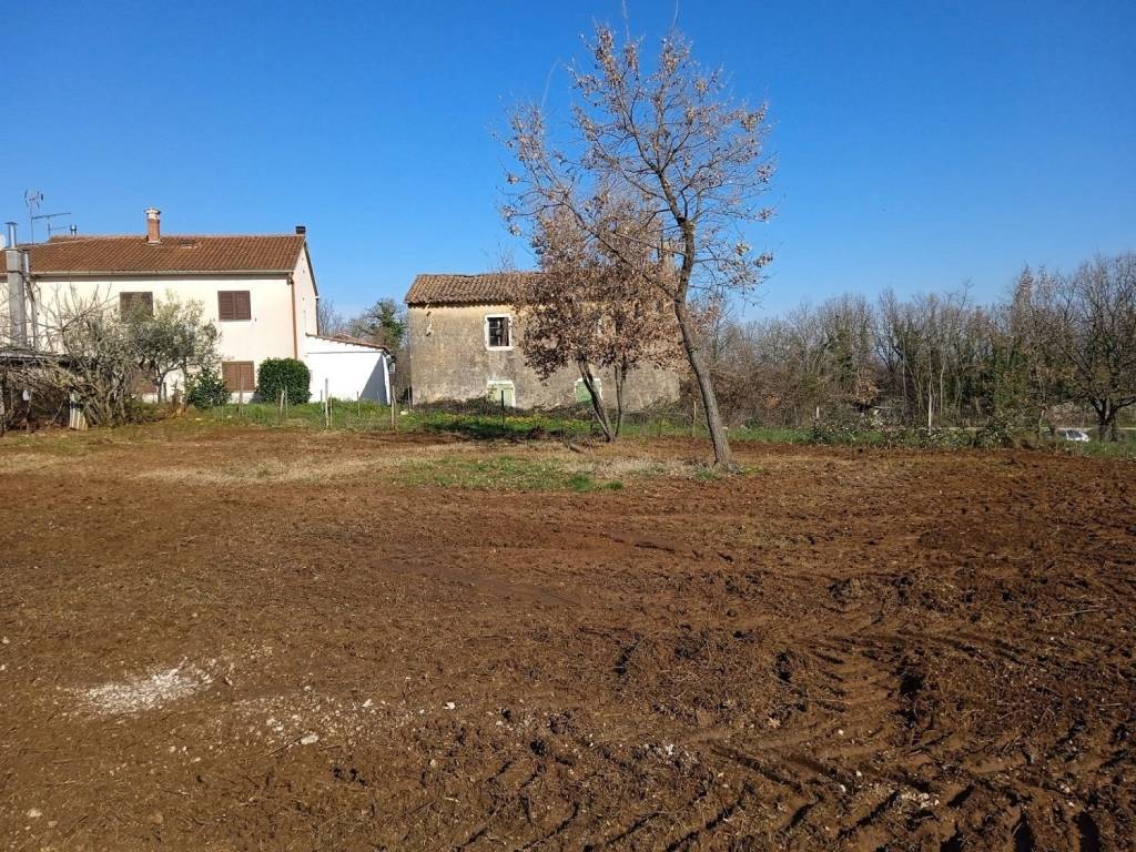 Plot for construction, Sale, Vižinada, Vižinada