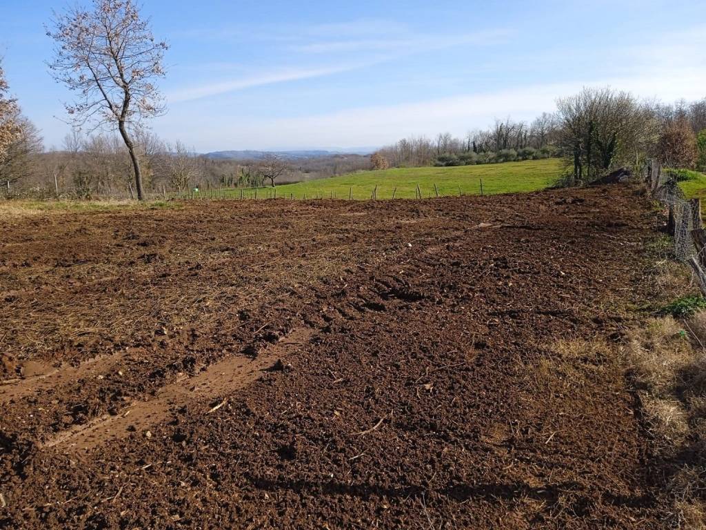 Plot for construction, Sale, Vižinada, Vižinada