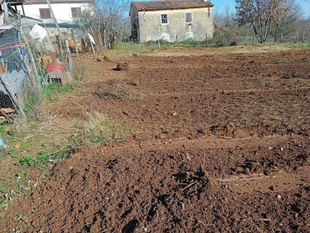 Plot for construction, Sale, Vižinada, Vižinada