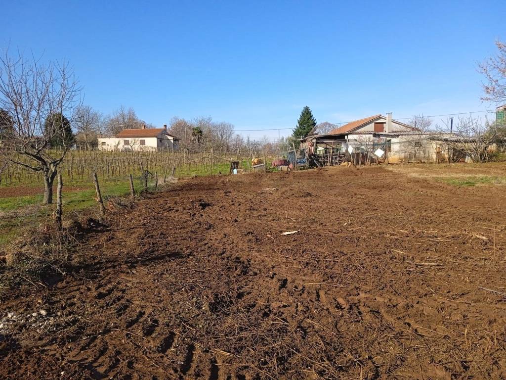 Plot for construction, Sale, Vižinada, Vižinada