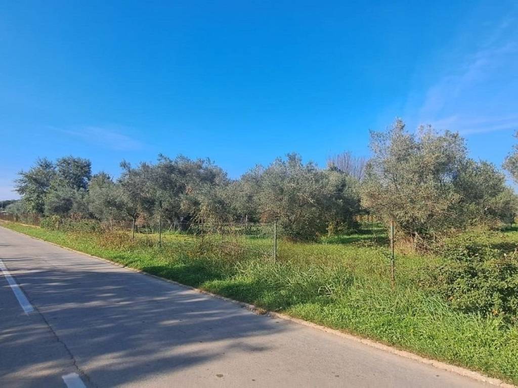 Construction plot for tourism, Sale, Tar-Vabriga, Vabriga