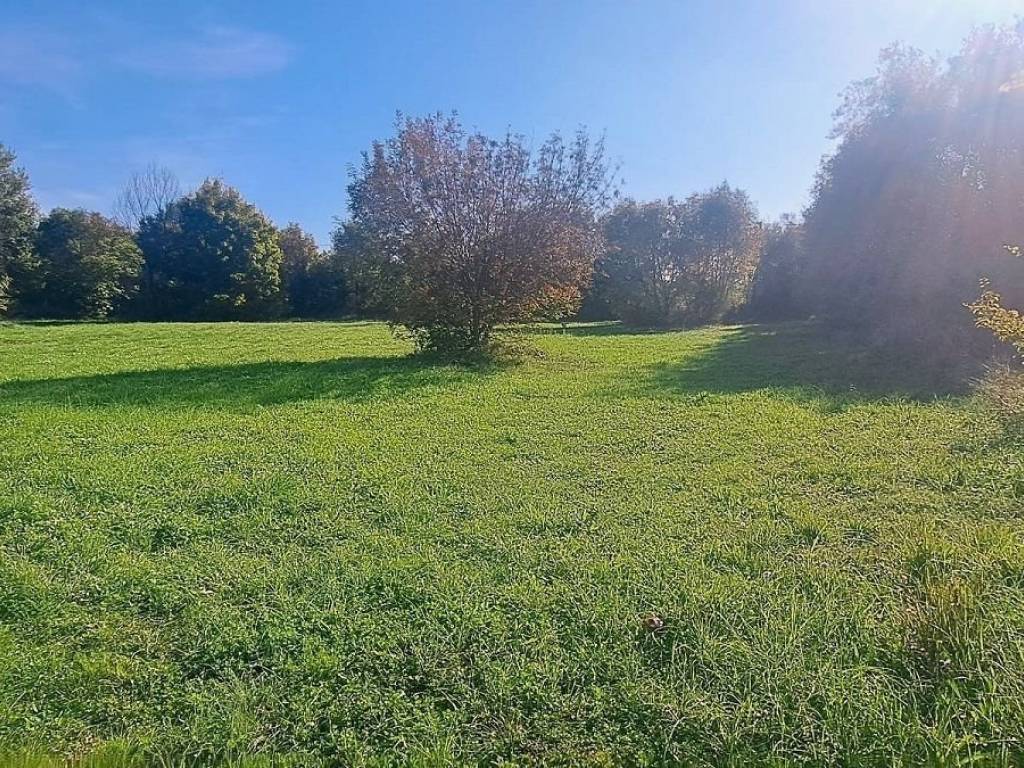 Construction plot for tourism, Sale, Tar-Vabriga, Vabriga