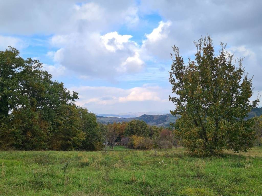 Plot for construction, Sale, Karojba, Karojba