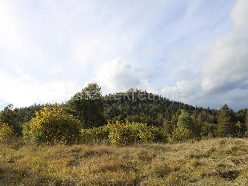 Plot for residential construction, Sale, Fužine, Fužine