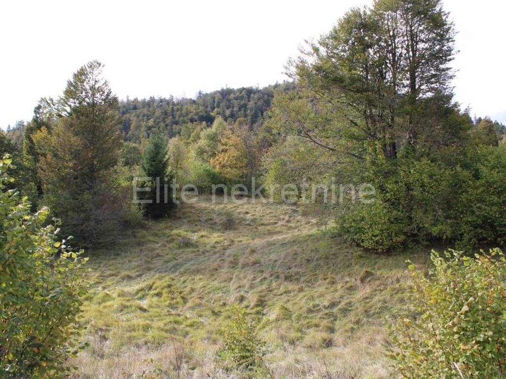 Plot for residential construction, Sale, Fužine, Fužine