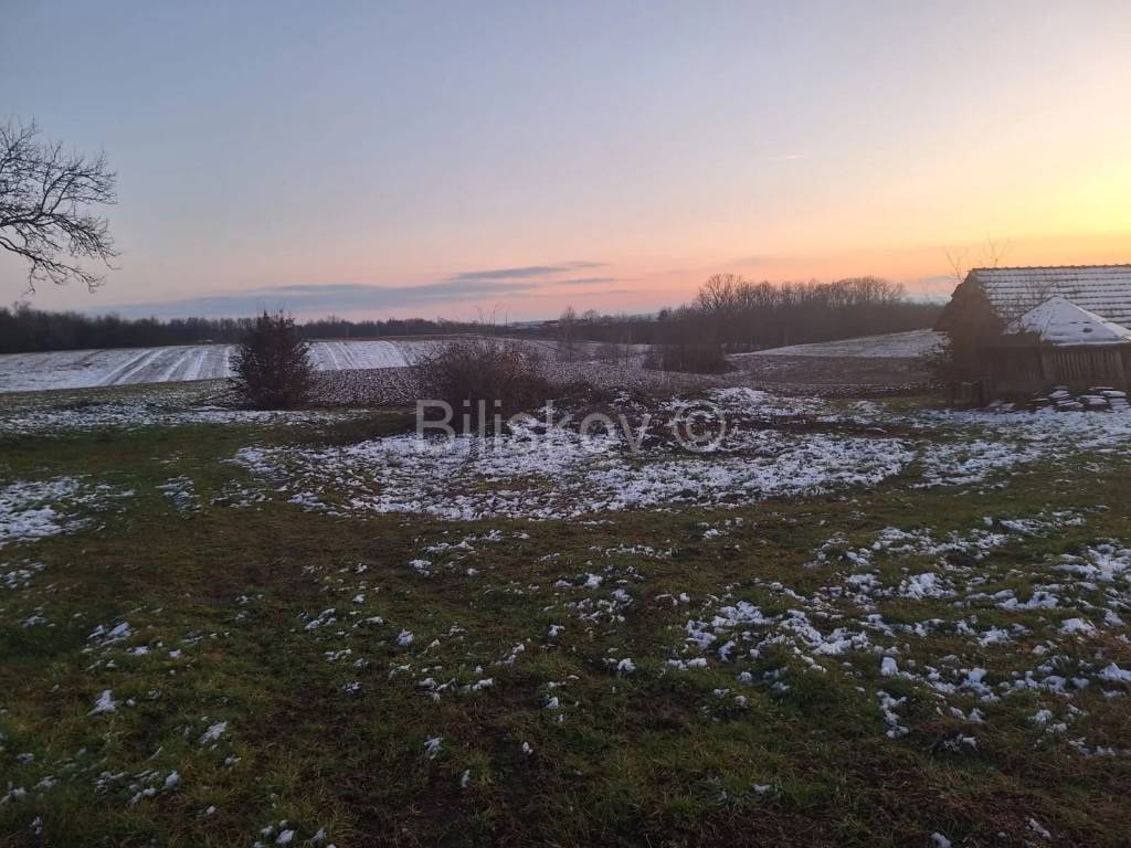 Agricultural plot, Sale, Pisarovina, Pisarovina