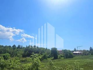Plot for construction, Sale, Poreč, Poreč
