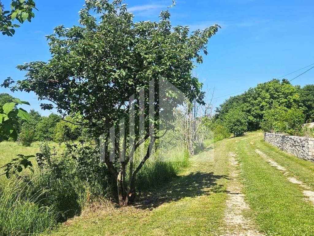 Plot for construction, Sale, Poreč, Poreč