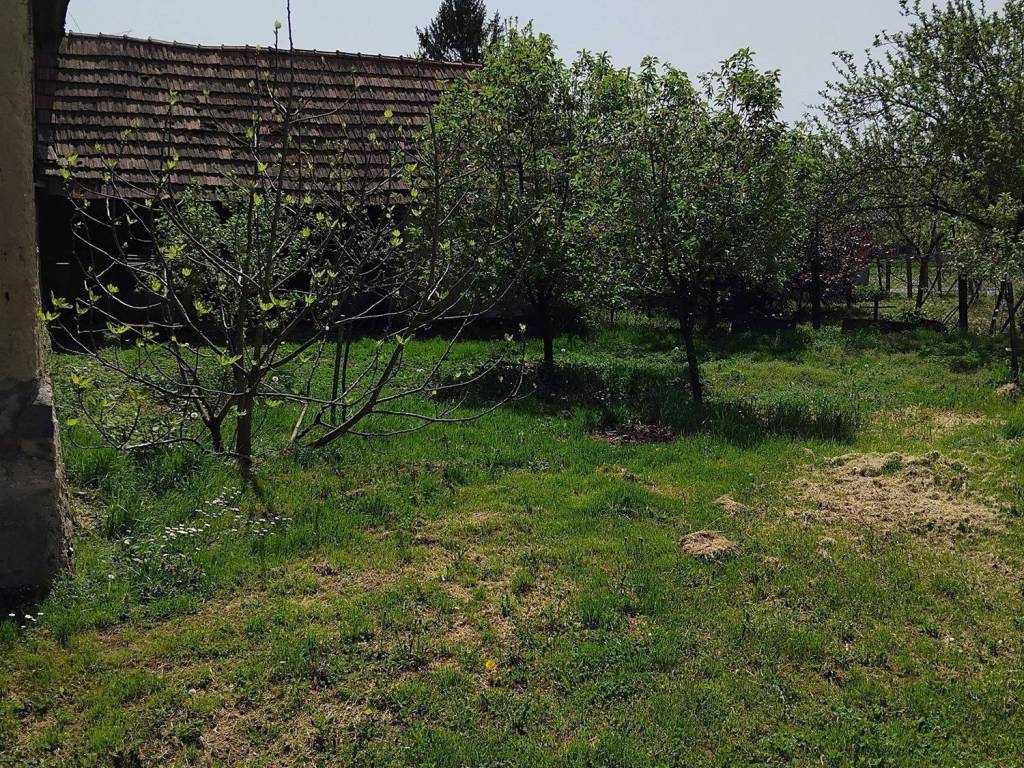 One-storey house, Sale, Požega - Okolica, Mihaljevci