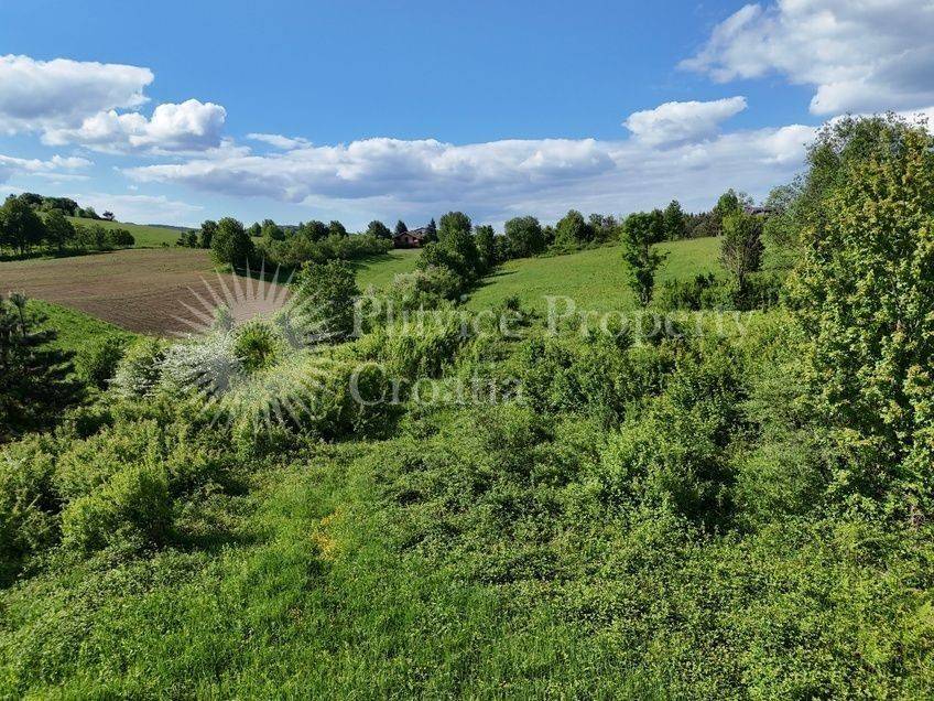 Construction plot for tourism, Sale, Rakovica, Grabovac