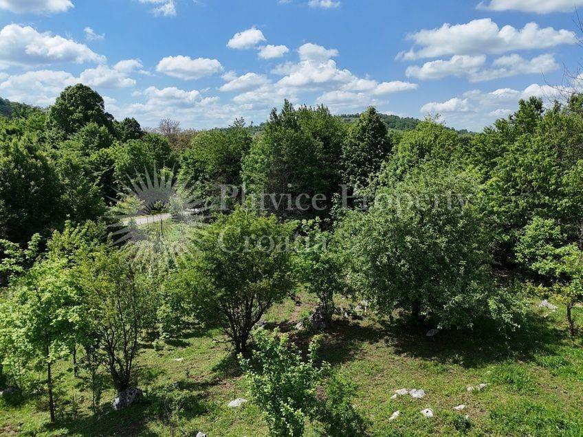 Plot for construction, Sale, Slunj, Podmelnica