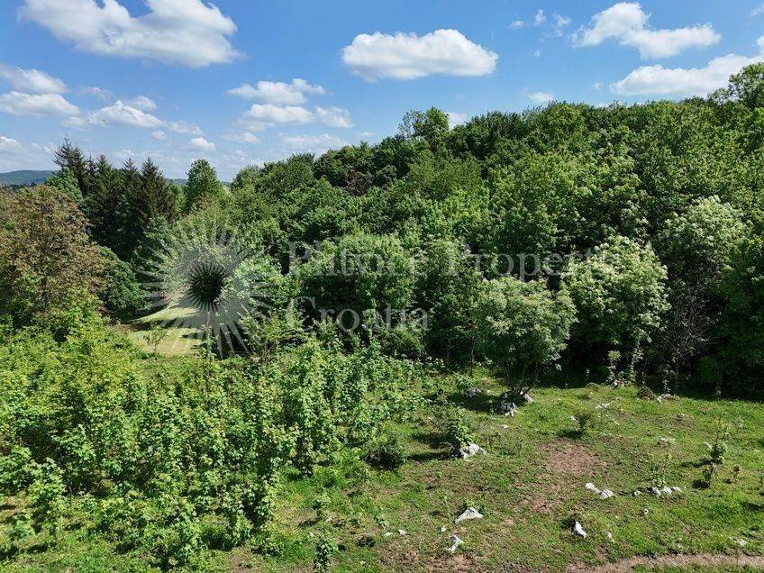 Plot for construction, Sale, Slunj, Podmelnica