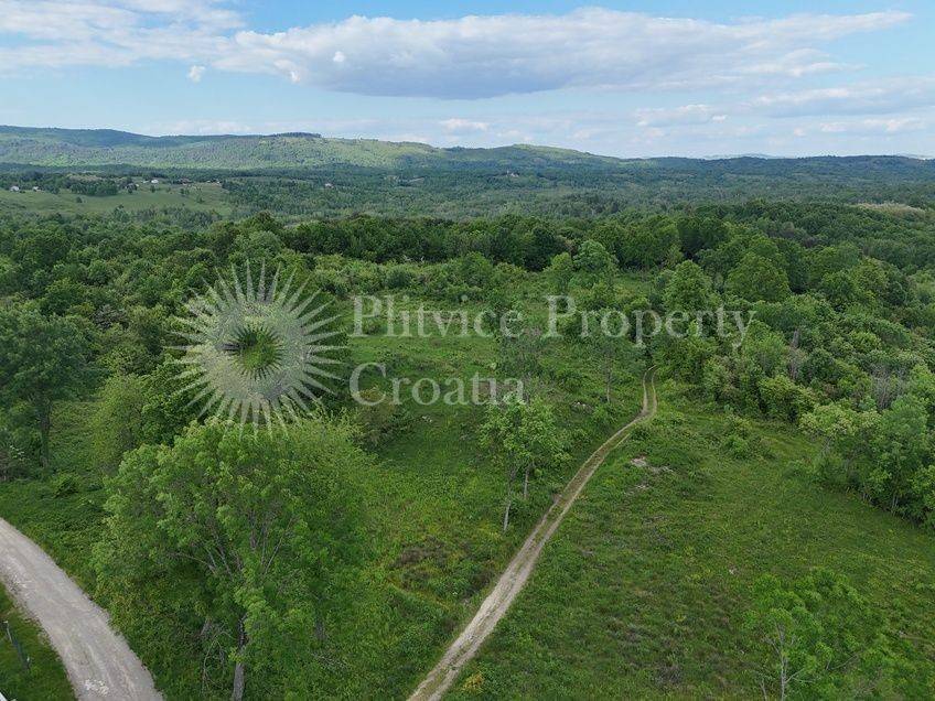 Plot for construction, Sale, Rakovica, Rakovica