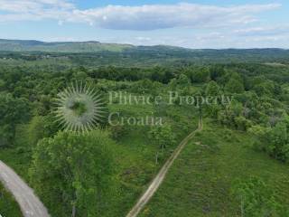 Plot for construction, Sale, Rakovica, Rakovica