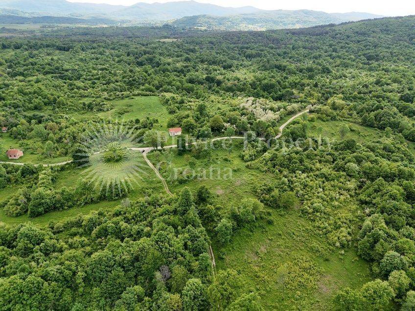 Plot for construction, Sale, Rakovica, Rakovica