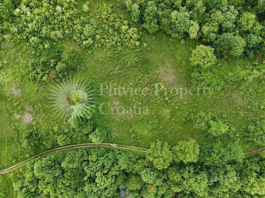 Plot for construction, Sale, Rakovica, Rakovica