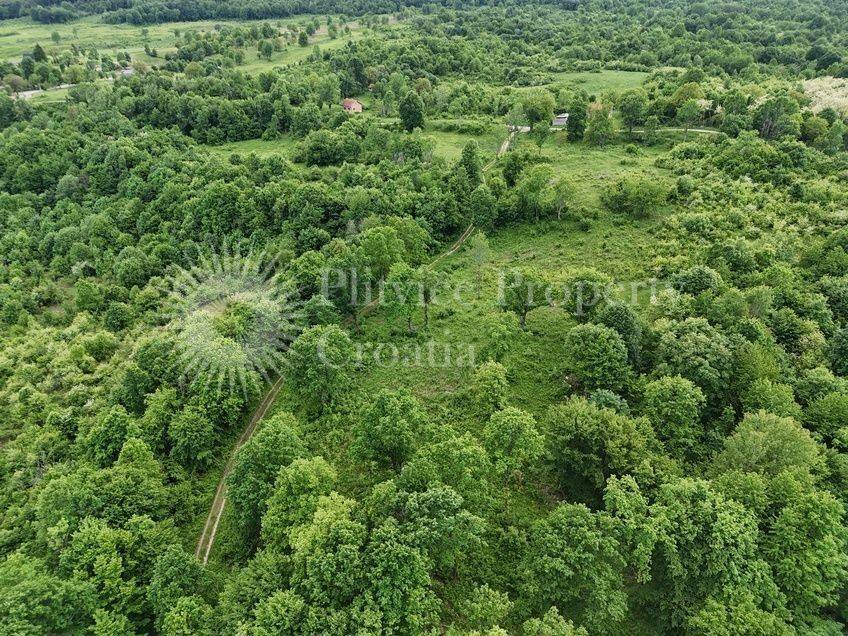 Plot for construction, Sale, Rakovica, Rakovica