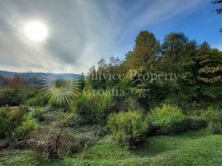 House with apartments, Sale, Slunj, Donje Taborište
