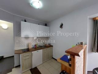 House with apartments, Sale, Slunj, Donje Taborište
