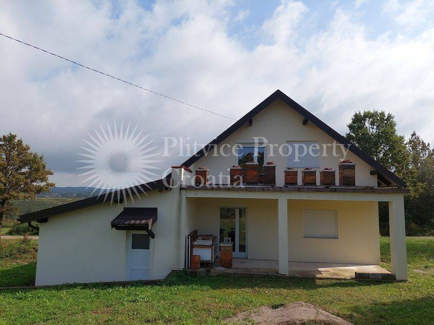 Family house, Sale, Rakovica, Rakovica