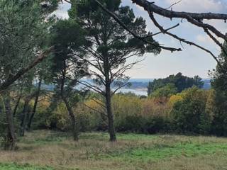 Plot for residential construction, Sale, Poreč, Poreč