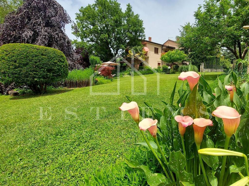 Detached house, Sale, Pazin - Okolica, Zarečje
