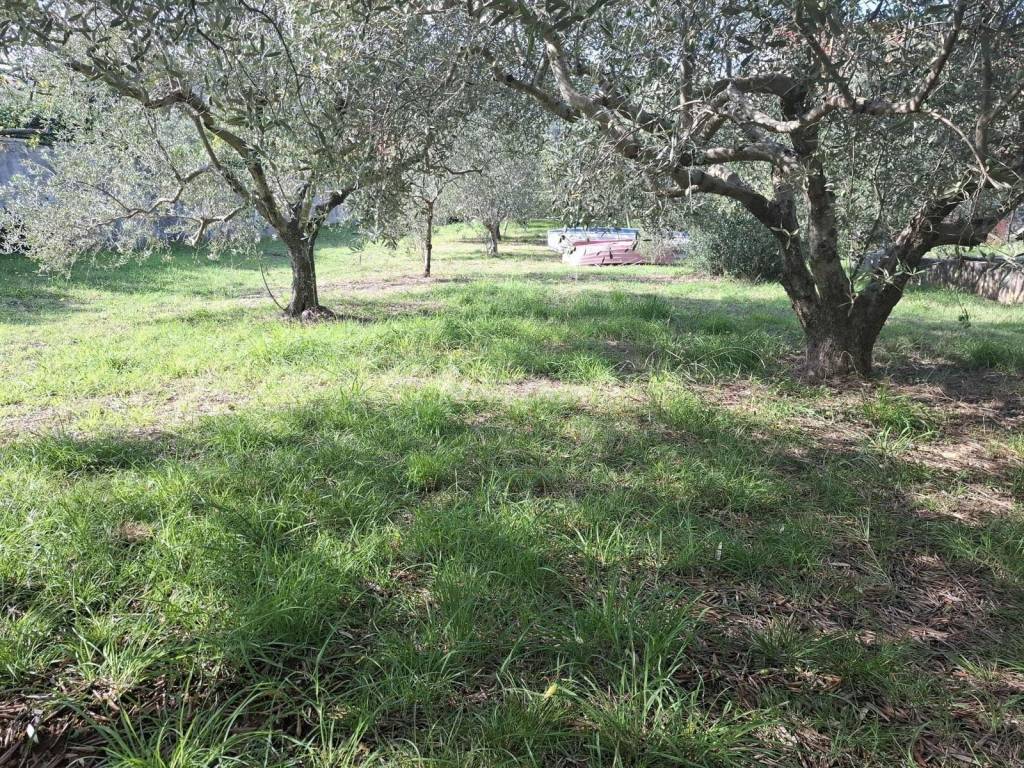 Plot for construction, Sale, Pašman, Pašman