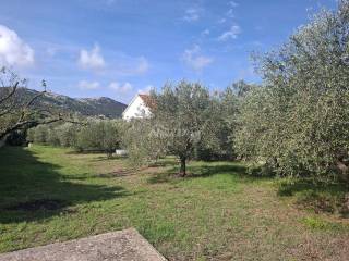 Plot for construction, Sale, Pašman, Pašman