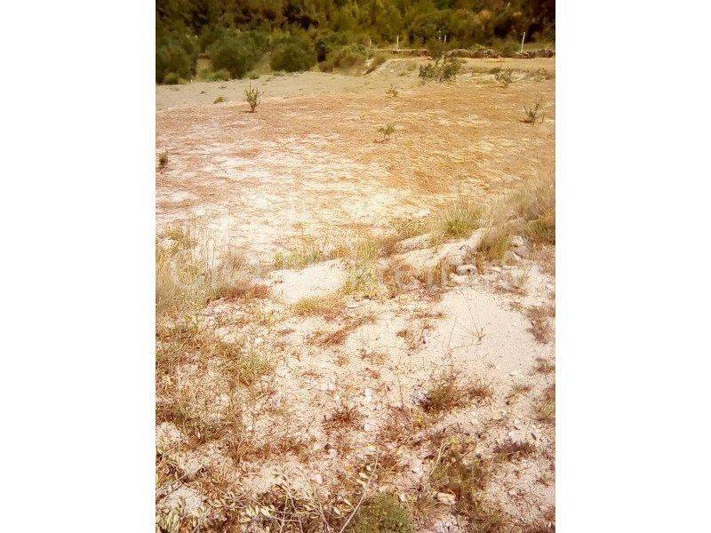 Plot for construction of mixed-use property, Sale, Split - Okolica, Kamen