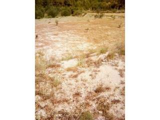 Plot for construction of mixed-use property, Sale, Split - Okolica, Kamen