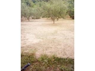 Plot for construction of mixed-use property, Sale, Split - Okolica, Kamen