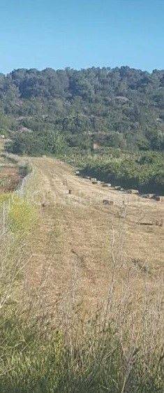 Agricultural plot, Sale, Vis, Podstražje