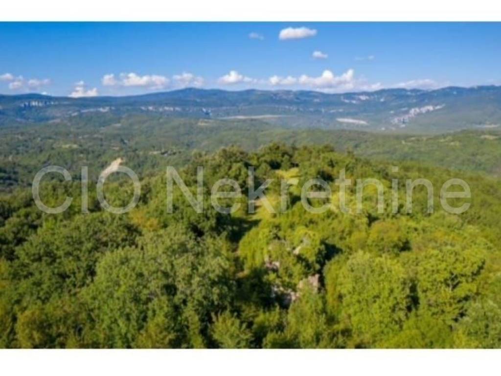 Plot with an investment project, Sale, Lupoglav, Lupoglav