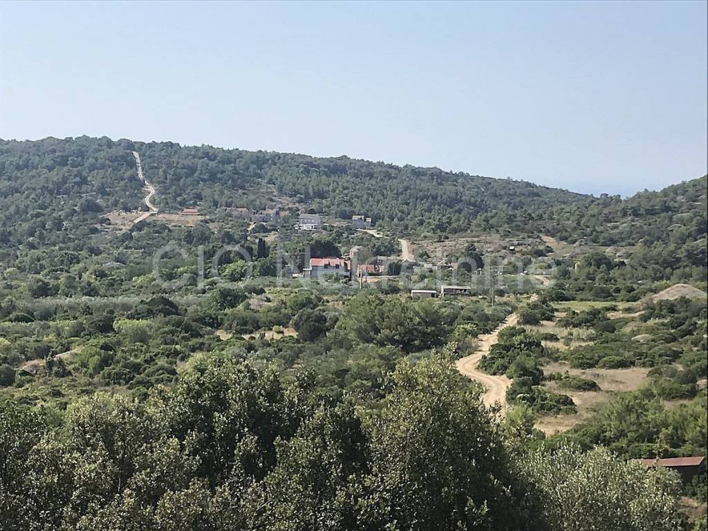Agricultural plot, Sale, Vis, Dračevo Polje