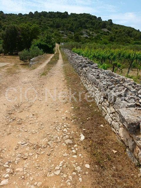 Plot for construction, Sale, Vis, Dračevo Polje