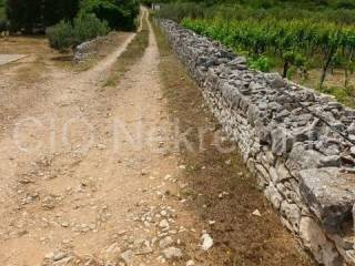Plot for construction, Sale, Vis, Dračevo Polje