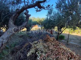 Detached house, Sale, Podstrana, Podstrana