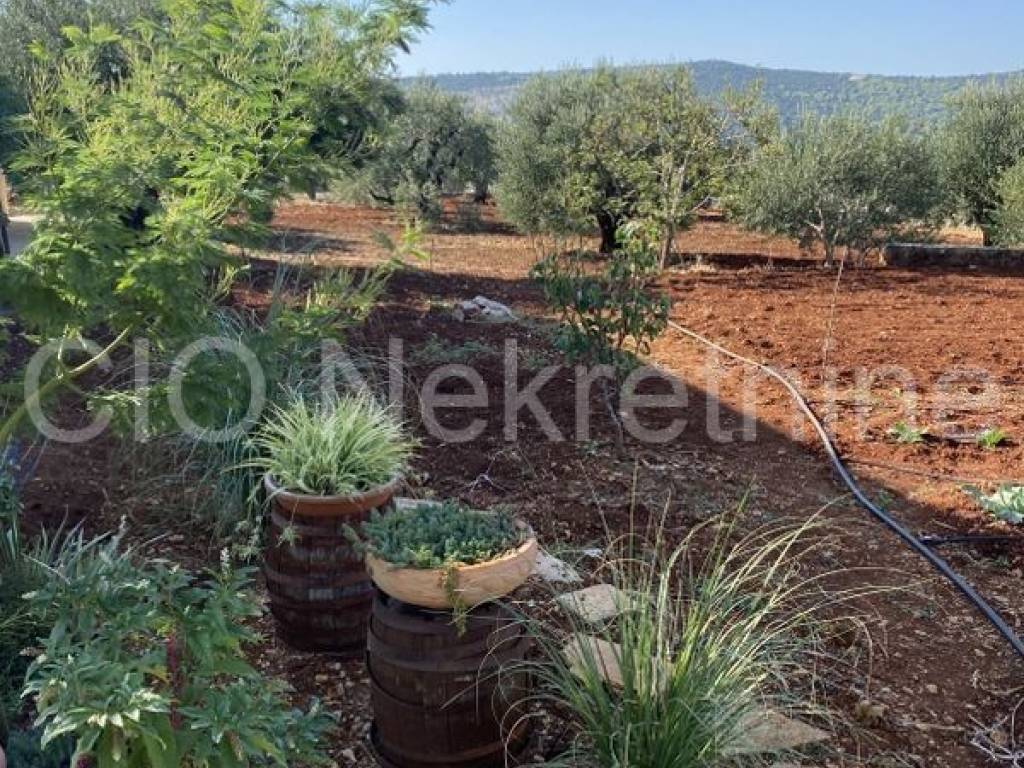 Detached house, Sale, Marina, Pozorac