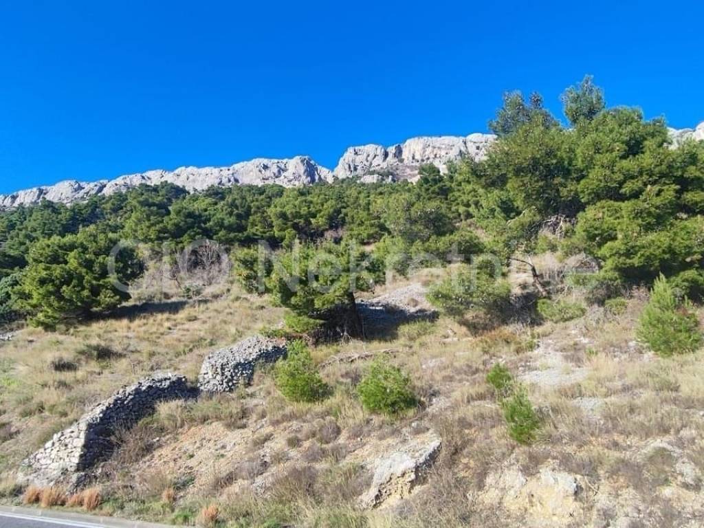 Agricultural plot, Sale, Omiš, Pisak