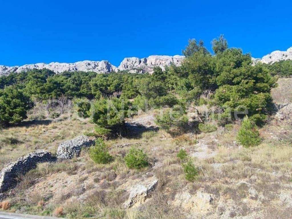 Agricultural plot, Sale, Omiš, Pisak