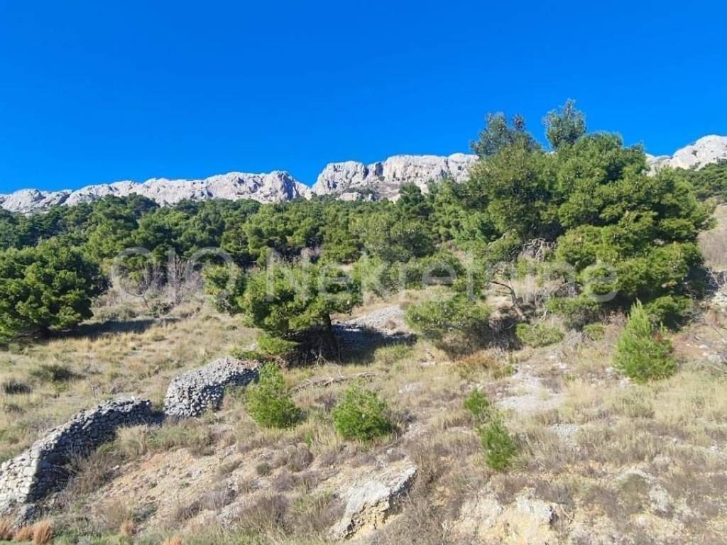 Agricultural plot, Sale, Omiš, Pisak