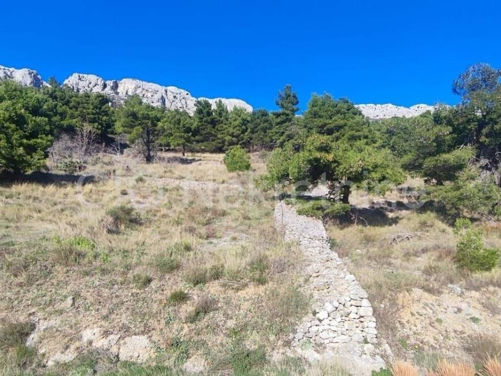 Agricultural plot, Sale, Omiš, Pisak