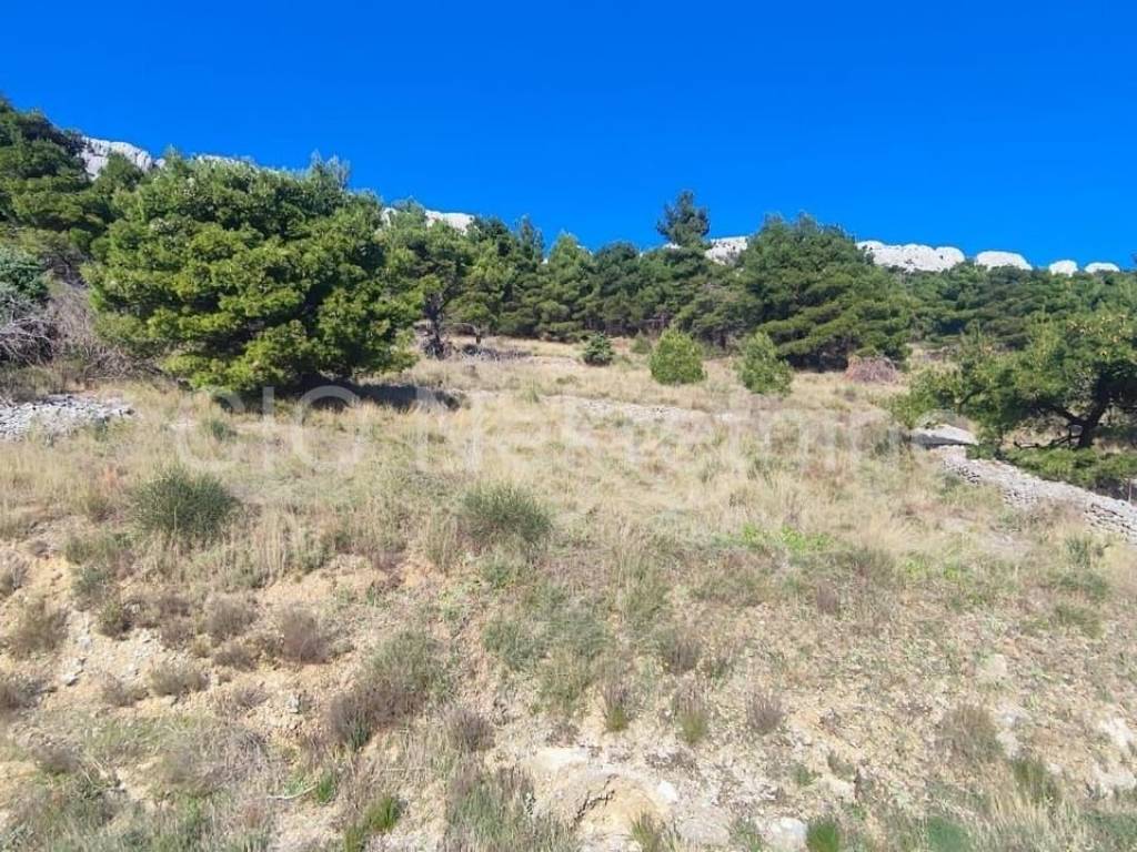 Agricultural plot, Sale, Omiš, Pisak