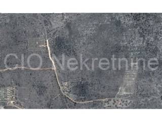 Agricultural land, Sale, Marina, Gustirna