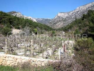 Agricultural plot, Sale, Bol, Bol